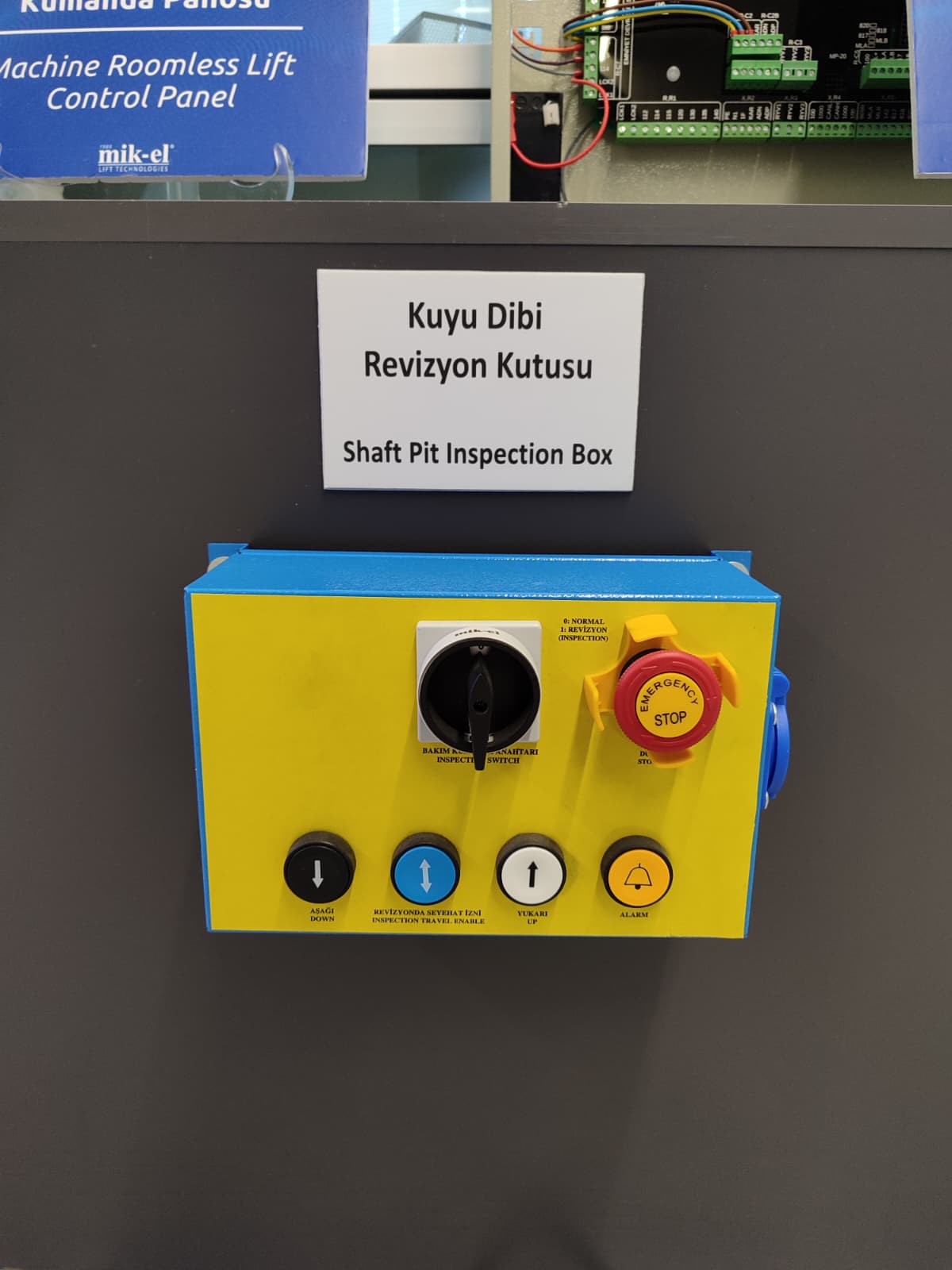 Fuar Çalışmaları